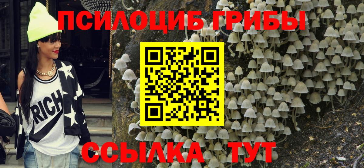 Псилоцибиновые грибы MAGIC MUSHROOMS  Вход с VPN  Псилоцибиновые грибы Psilocybe  Рузаевка 